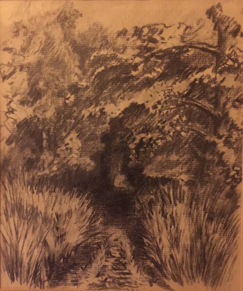 Walk through the Woods